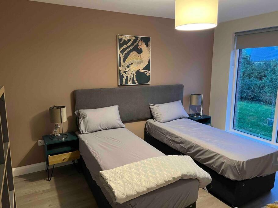 3 Bed Rooms Vip Family House دبلن المظهر الخارجي الصورة